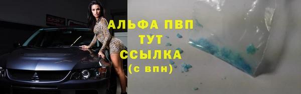 трава Аркадак