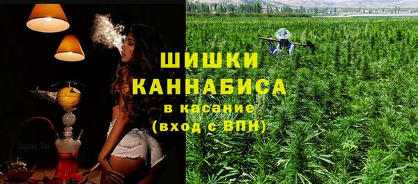 трава Аркадак