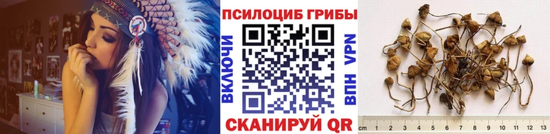 Галлюциногенные грибы мицелий  Тейково 